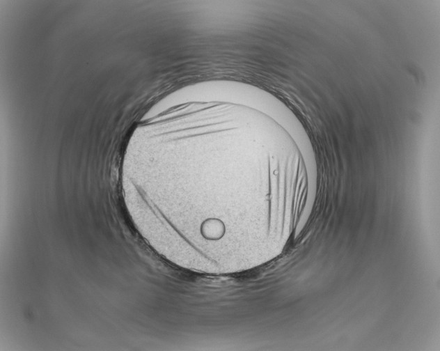 X0000111010427200907311055