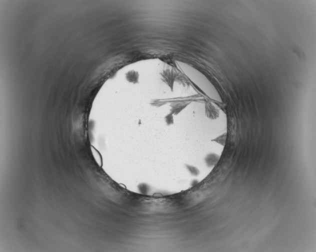 X0000111010428200907311055