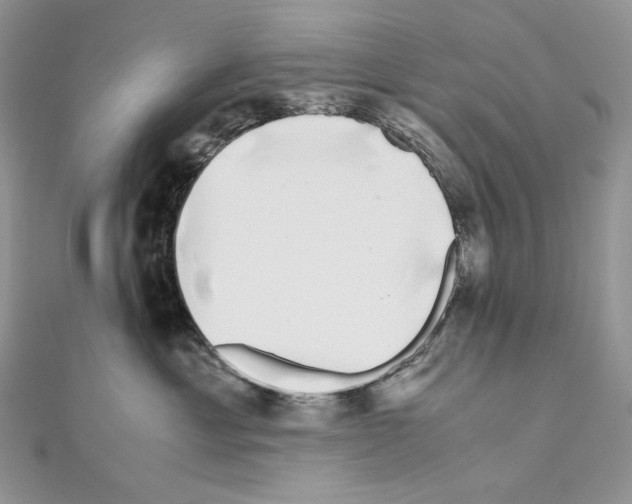 X0000111010429200907311055