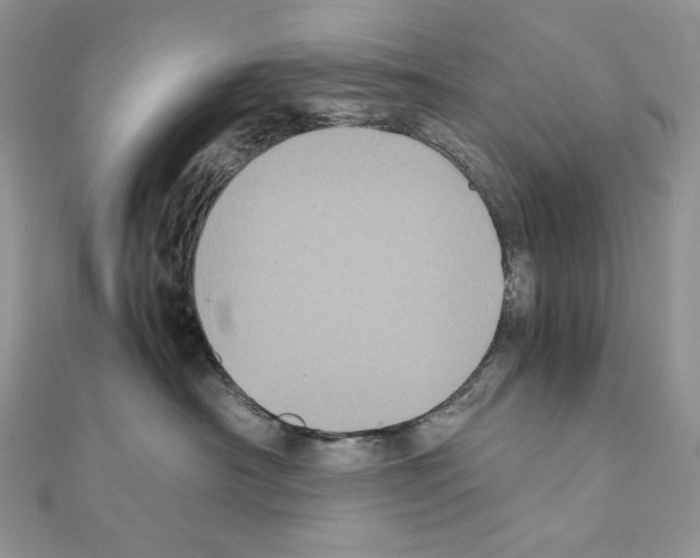 X0000111010430200907311055