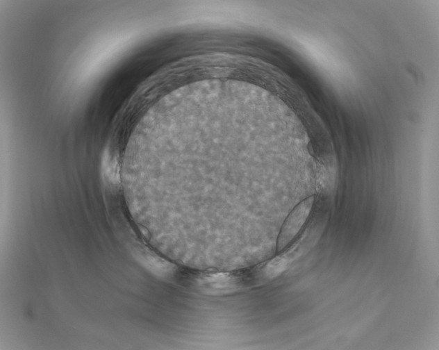 X0000111010431200907311055