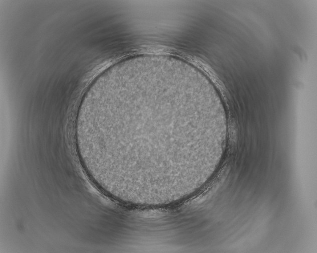 X0000111010433200907311054