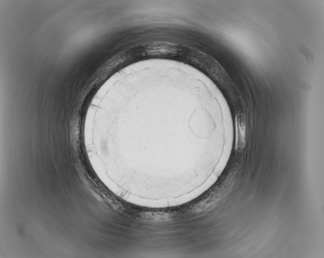 X0000111010435200907311054