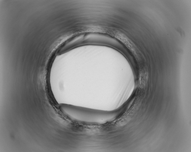 X0000111010436200907311055
