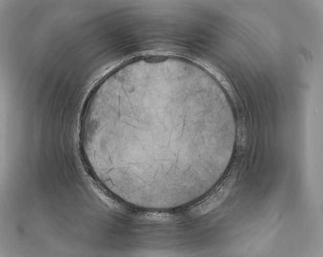 X0000111010437200907311055