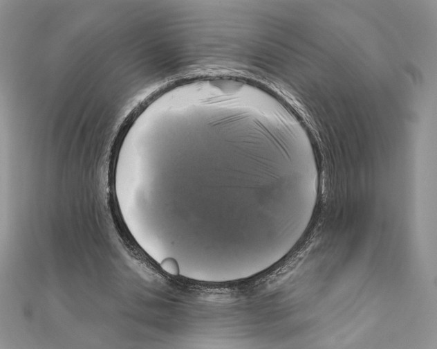 X0000111010438200907311055
