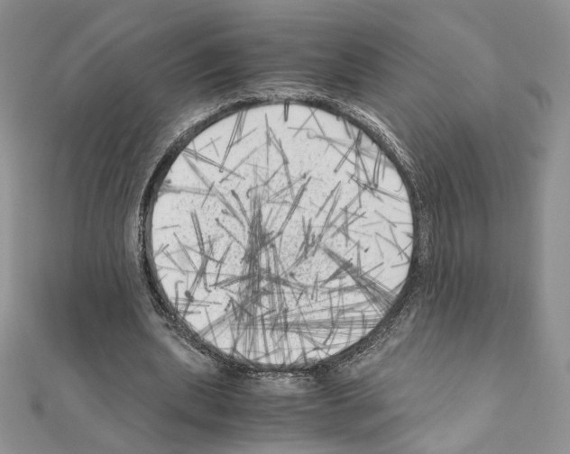 X0000111010439200907311055