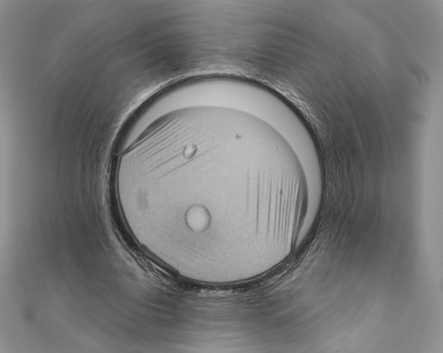 X0000111010440200907311055