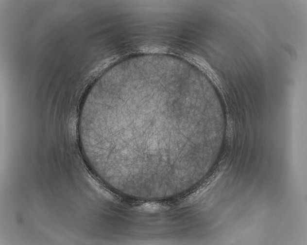 X0000111010441200907311055