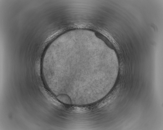 X0000111010442200907311055