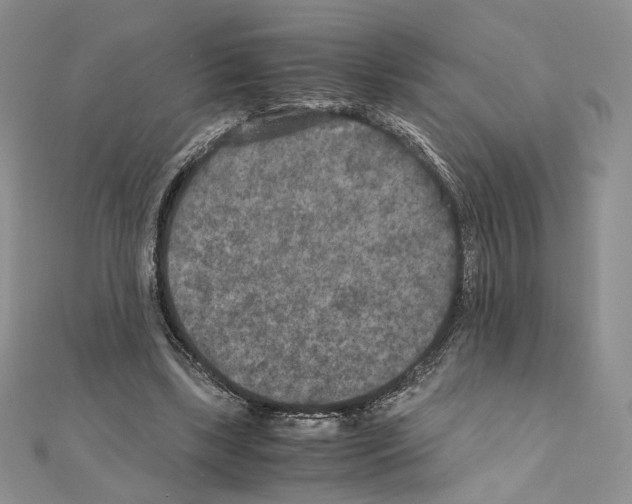 X0000111010443200907311055