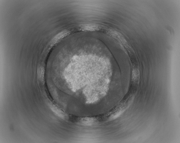 X0000111010444200907311055