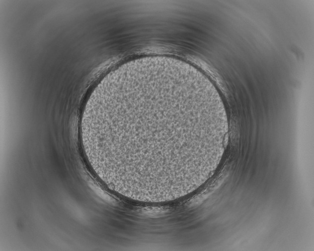 X0000111010445200907311055