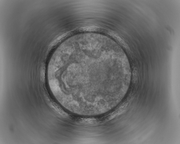 X0000111010446200907311055