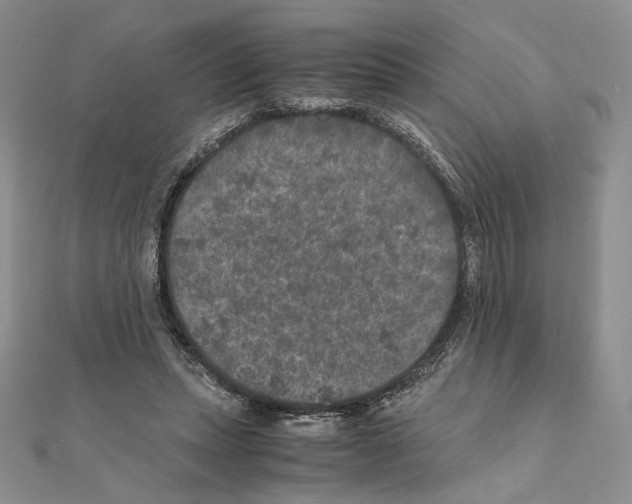 X0000111010447200907311055