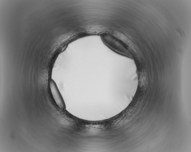 X0000111010448200907311055