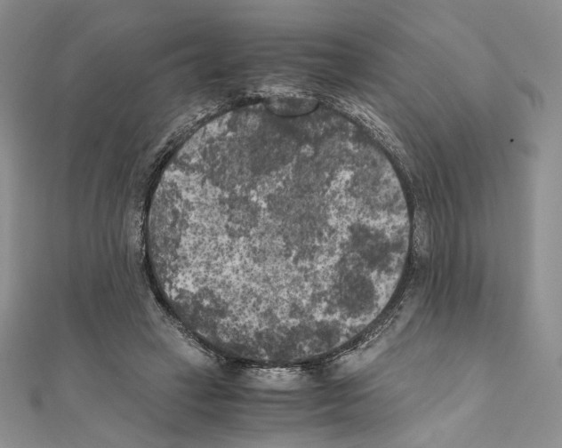 X0000111010449200907311055