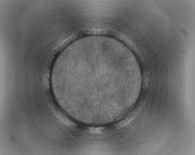 X0000111010450200907311055