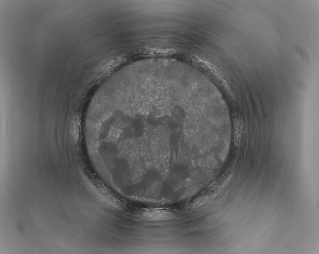 X0000111010451200907311055
