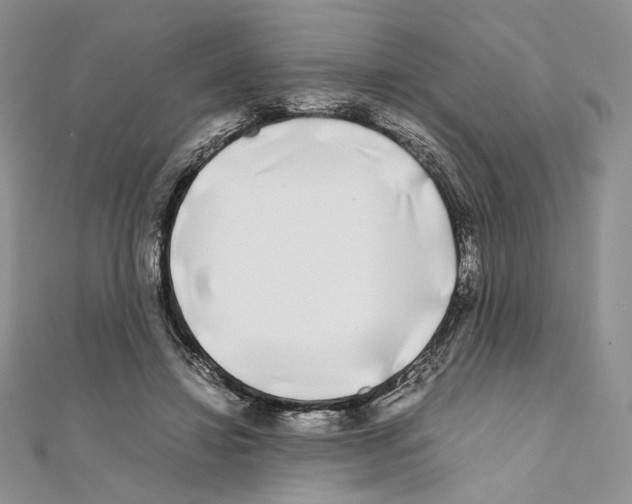 X0000111010452200907311055