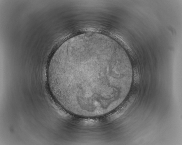 X0000111010453200907311055