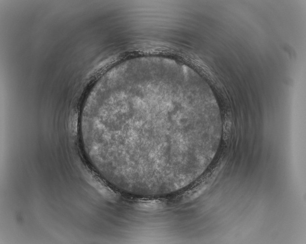 X0000111010454200907311055
