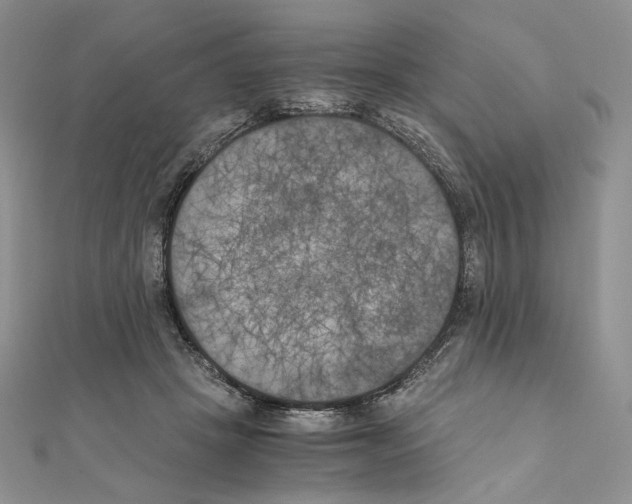 X0000111010457200907311055