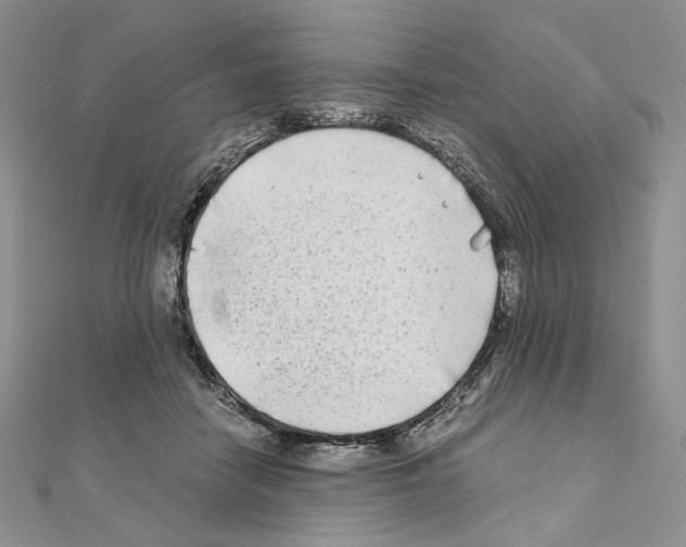 X0000111010458200907311055