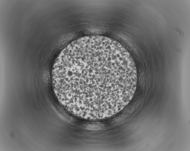 X0000111010459200907311055