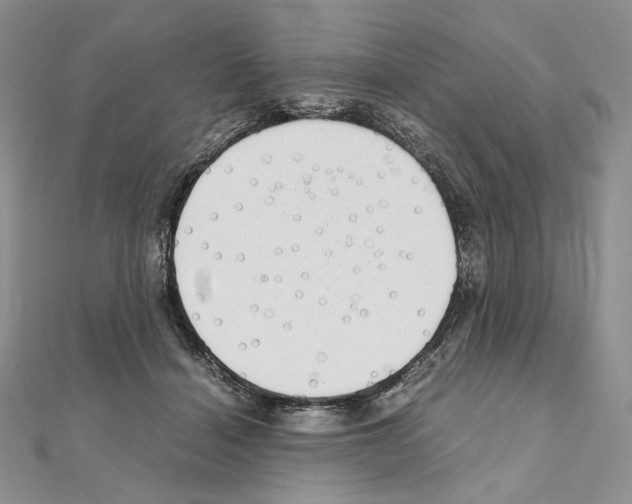 X0000111010460200907311055