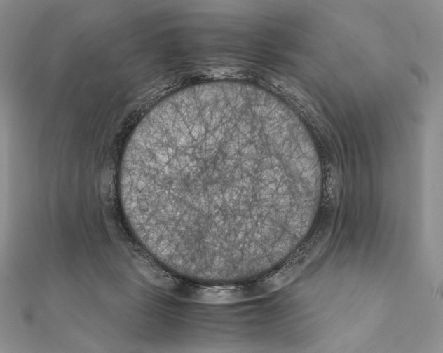 X0000111010461200907311055