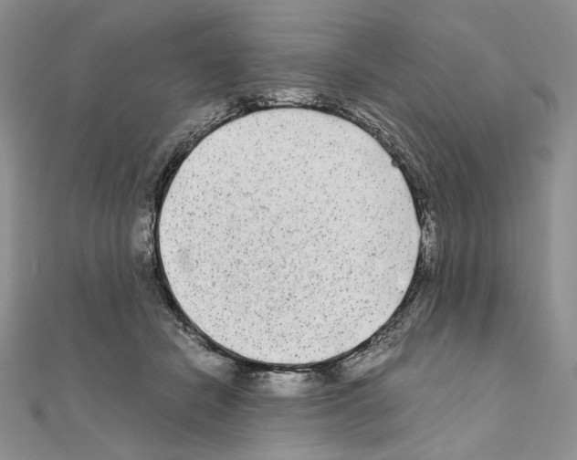X0000111010462200907311055