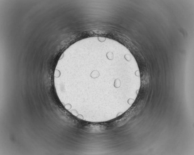 X0000111010464200907311055