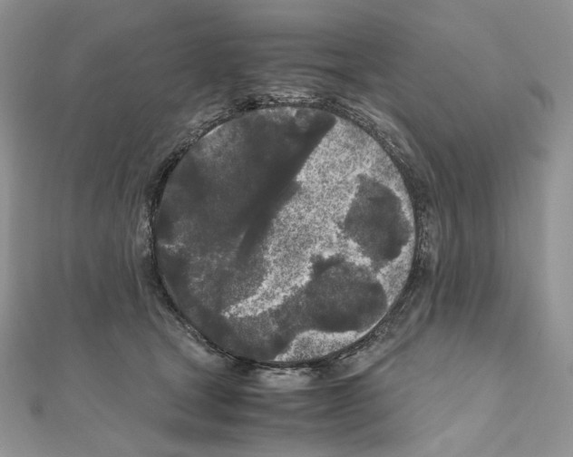 X0000111010465200907311055