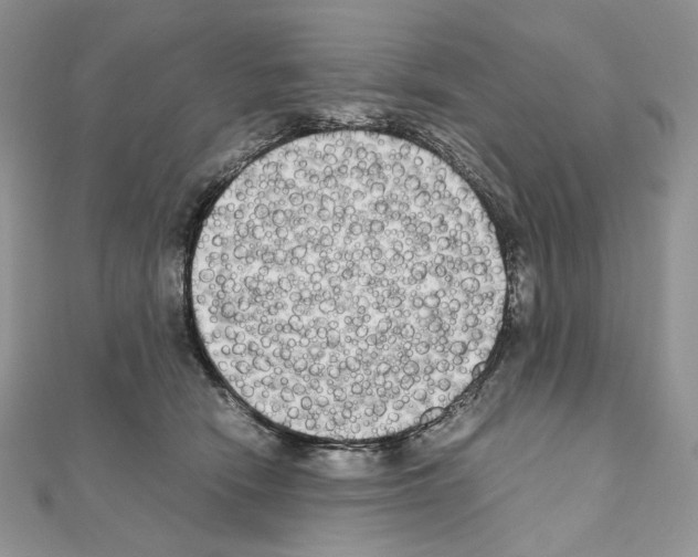 X0000111010466200907311055