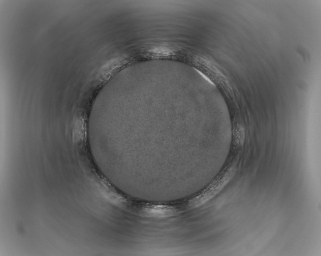 X0000111010467200907311055