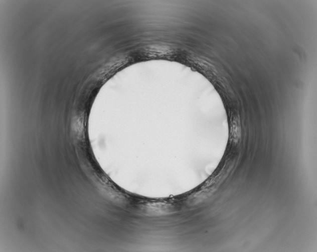 X0000111010468200907311055