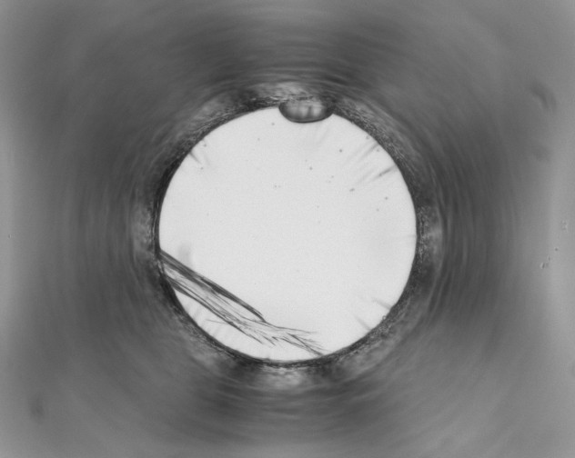 X0000111010469200907311055