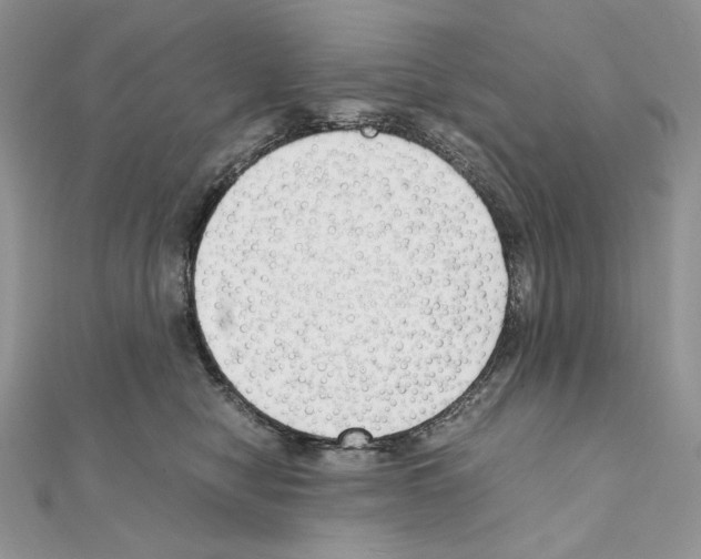 X0000111010470200907311055