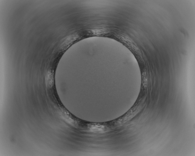 X0000111010471200907311055