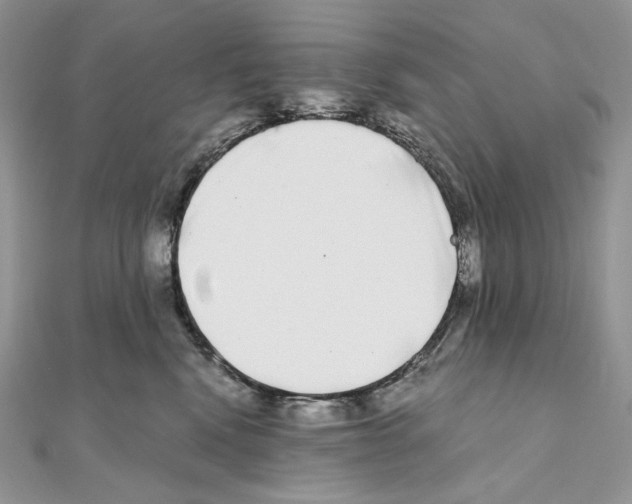 X0000111010472200907311055