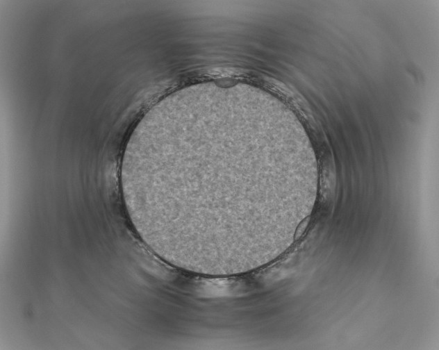 X0000111010473200907311055
