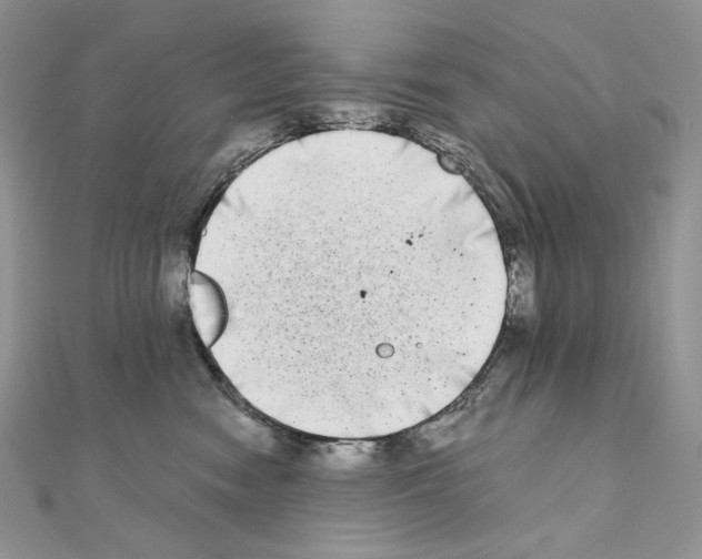 X0000111010474200907311055