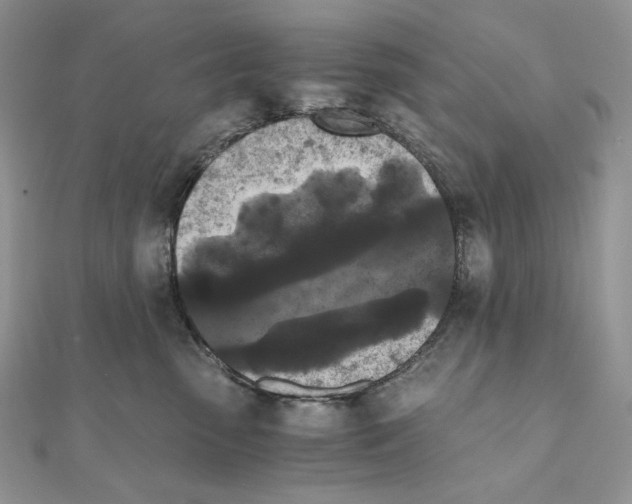 X0000111010475200907311055
