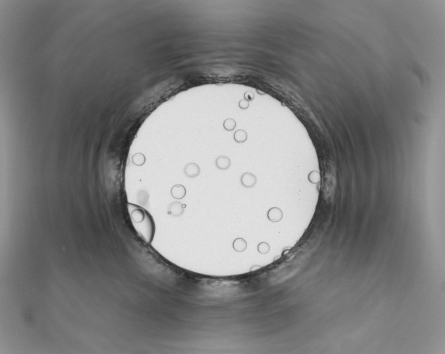 X0000111010476200907311055