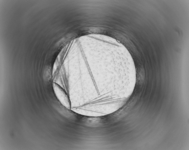X0000111010478200907311055