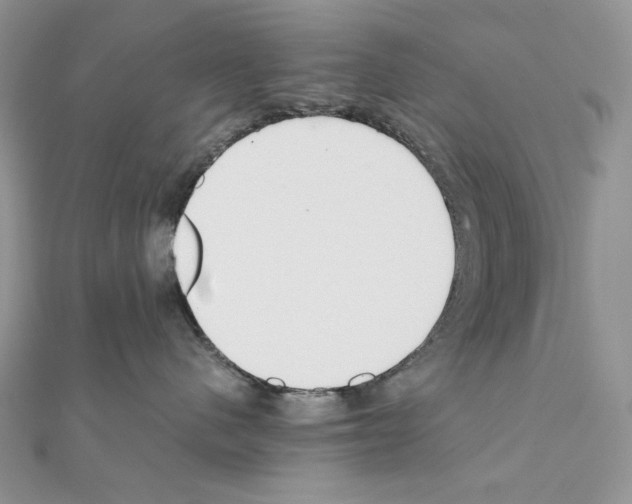 X0000111010480200907311055
