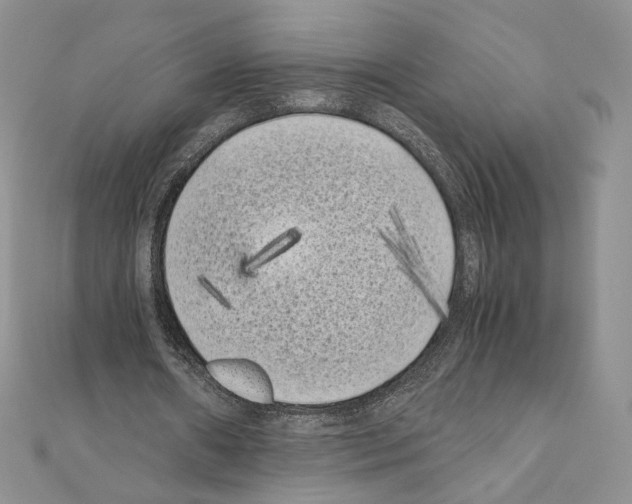 X0000111010482200907311054