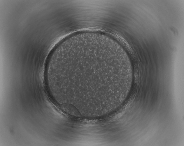 X0000111010484200907311054