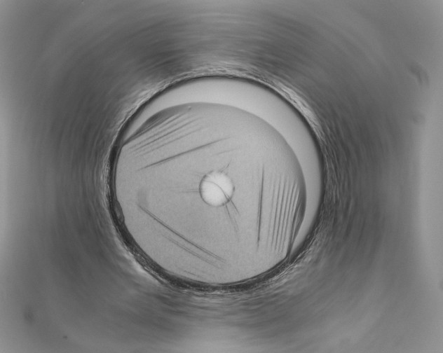 X0000111010485200907311054